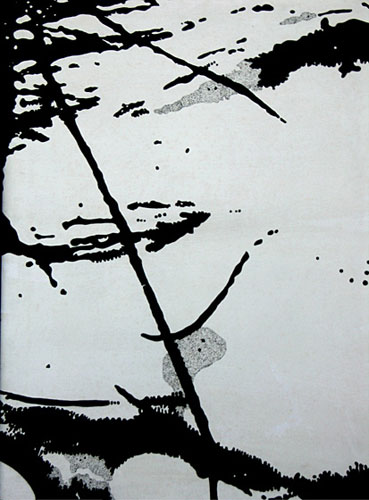 BIG MAP 111 by Cherie Bender