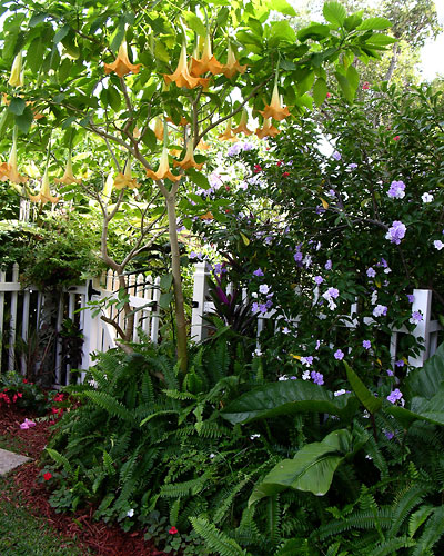 MY FRIEND'S SOOTHING GARDEN by Cherie Bender